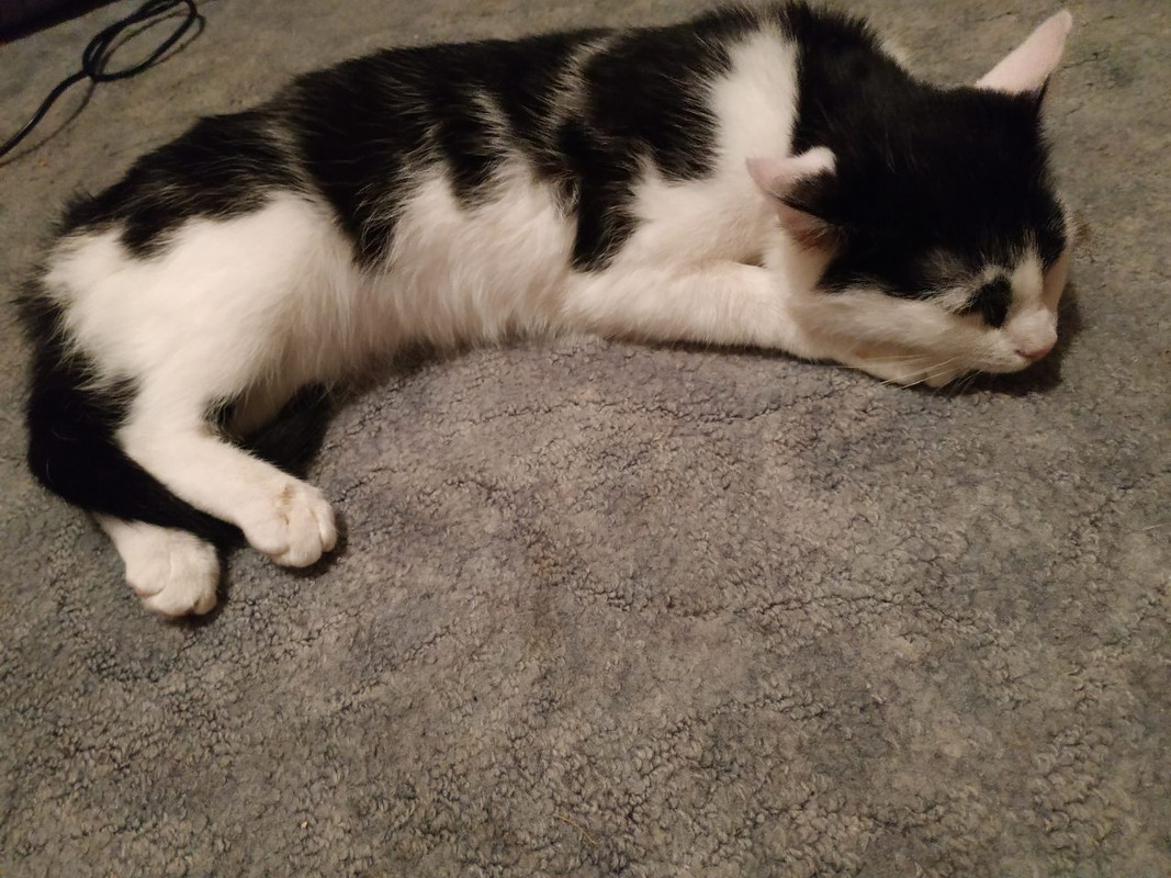 ЛуЛу_Евгений4