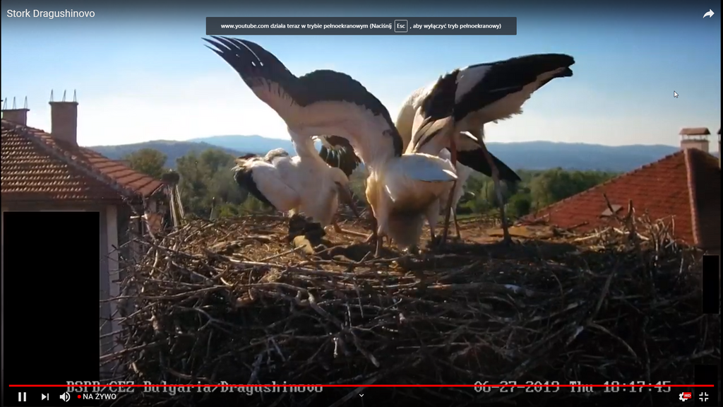 2019-06-27 17_20_59-Greenshot