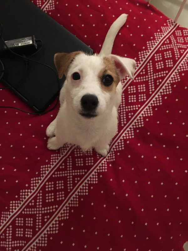 D17E0731-48A6-4D9F-9E54-DE65BE6AD82C