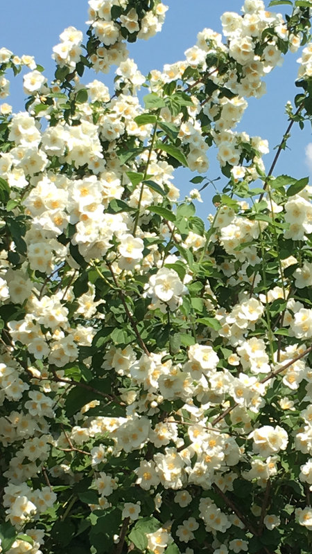 47CCDE39-CCA7-4399-B4F3-D38F42BA1202