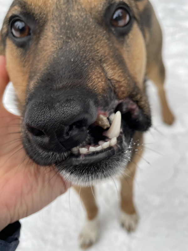 F89C92E7-B5FE-4B38-B83E-22F2C73FEB66