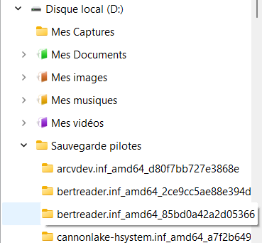 Capture d écran Sauvegarde pilote sur HDD 2026 03 31 114339