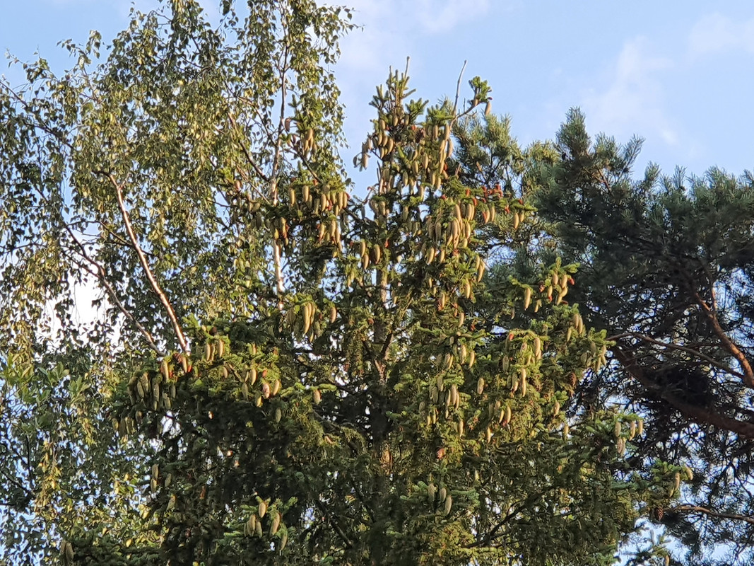 20210722-185711.jpg
