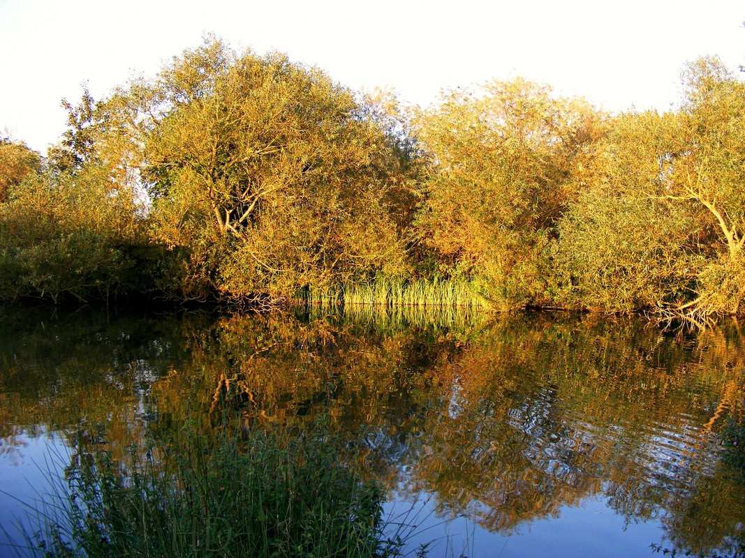 autumn-creek-HD.jpg