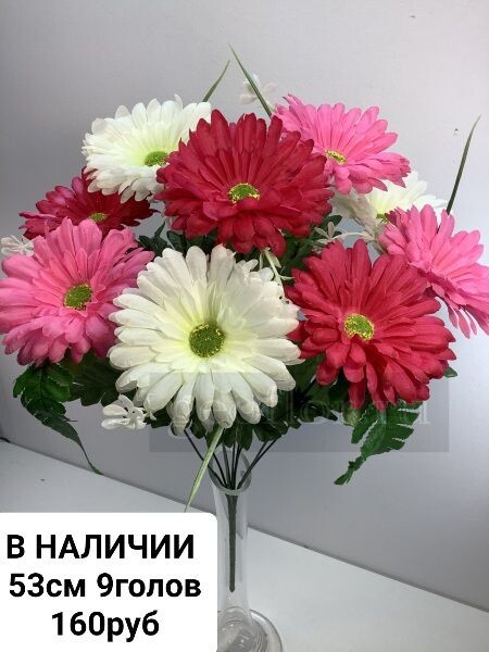 https://i.postimg.cc/sf7p4G15/IMG-20240409-081356.jpg