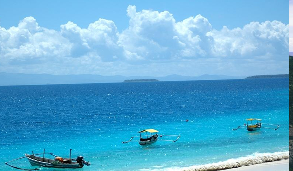 Aktivitas Seru di Pulau Asu