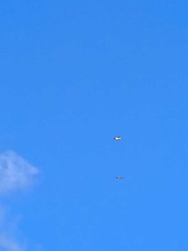 IMG 20260923 134211