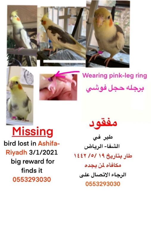 2853E9D8-3FCE-4E5E-801F-13CDCDD48322