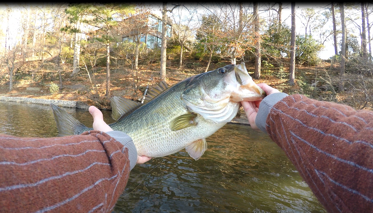 5-9-gopro-pic11.png
