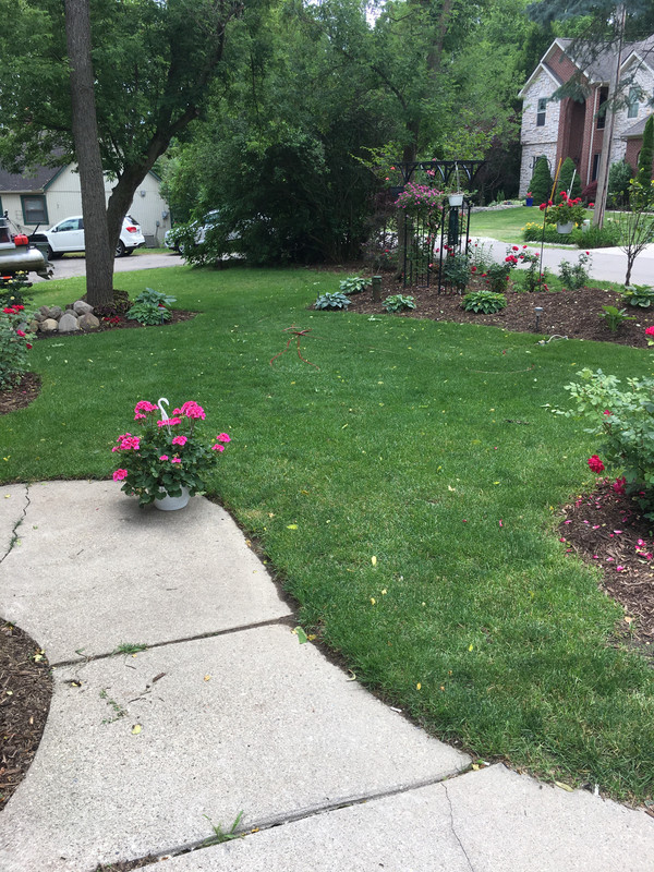 9BC83F7B-D5C5-41F2-9FE7-30B6CE3EEE8B