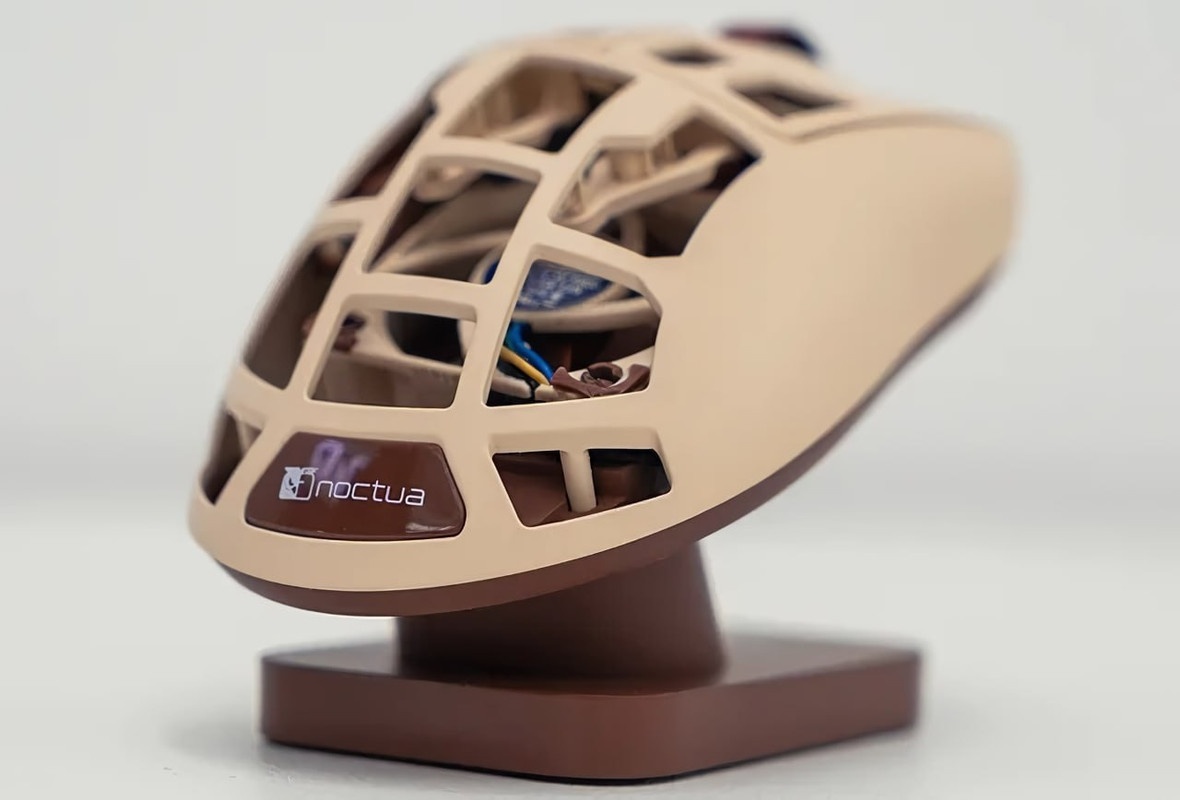 photo_2025-05-21_14-10-35 (3)