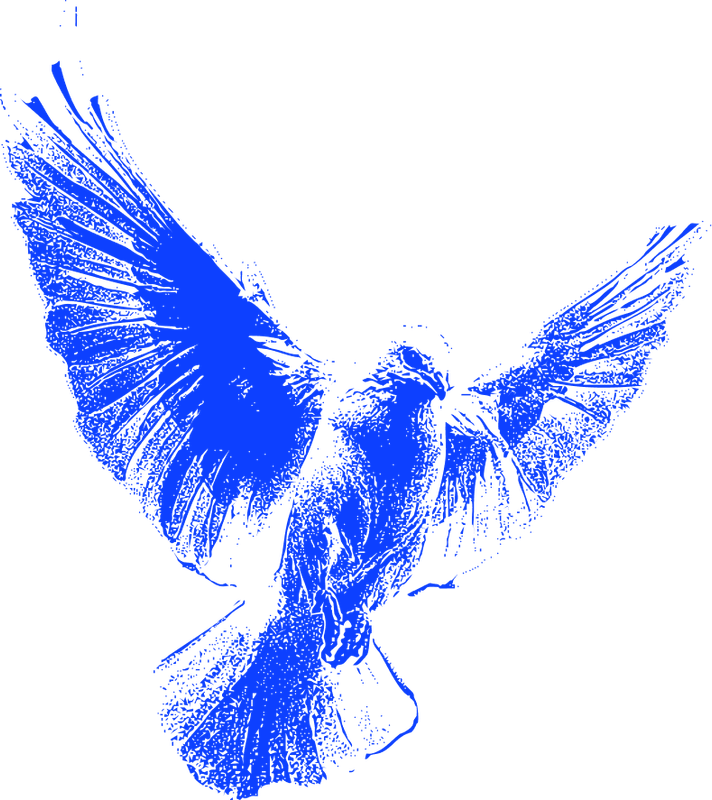 Imagem Vetorial Hero