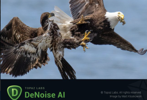 Topaz DeNoise AI 3.3.4 (x64) repack by KpoJIuK