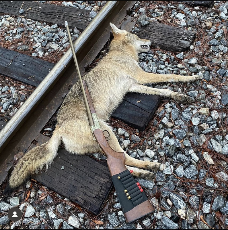 01D96FBA-69E8-452C-A720-3ADE8F6C8C21