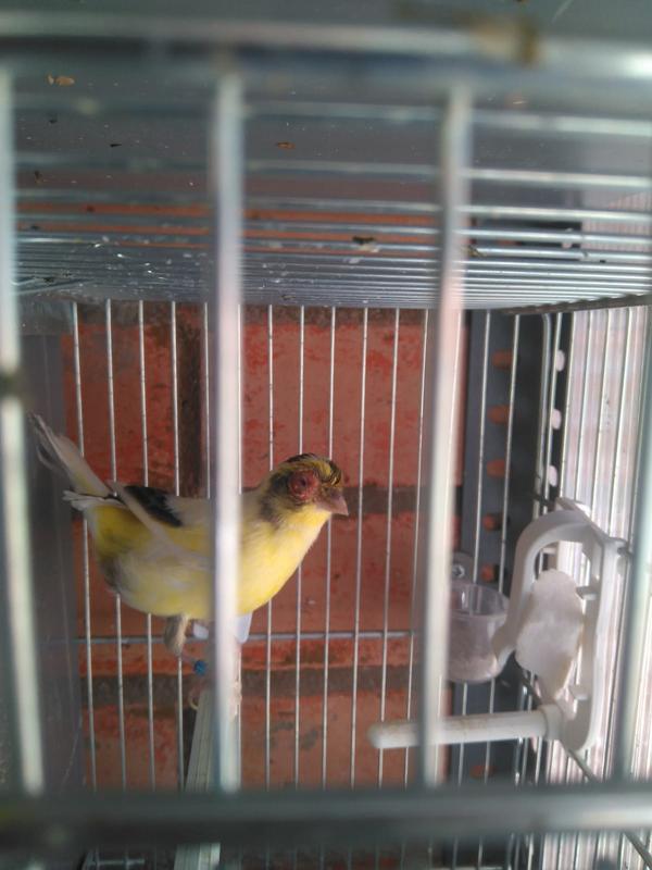 4182b643-2460-4605-970d-17e986abd114