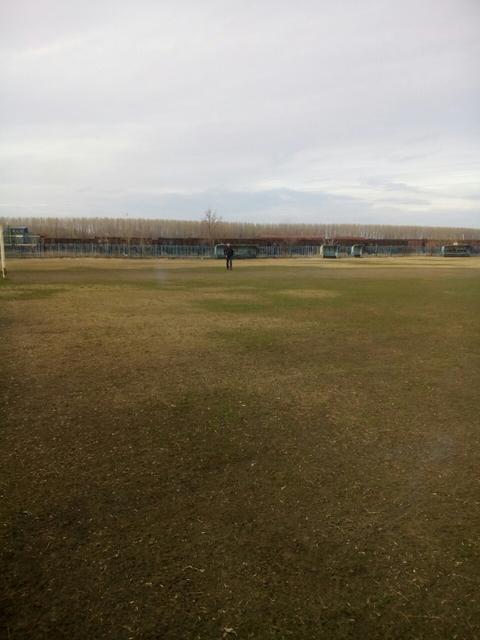 терен сирина