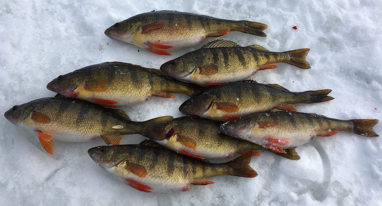 BA18DA05-8EB4-4D59-8498-D524617FFD97