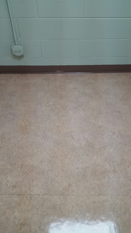 Upholstery cleaning (2)