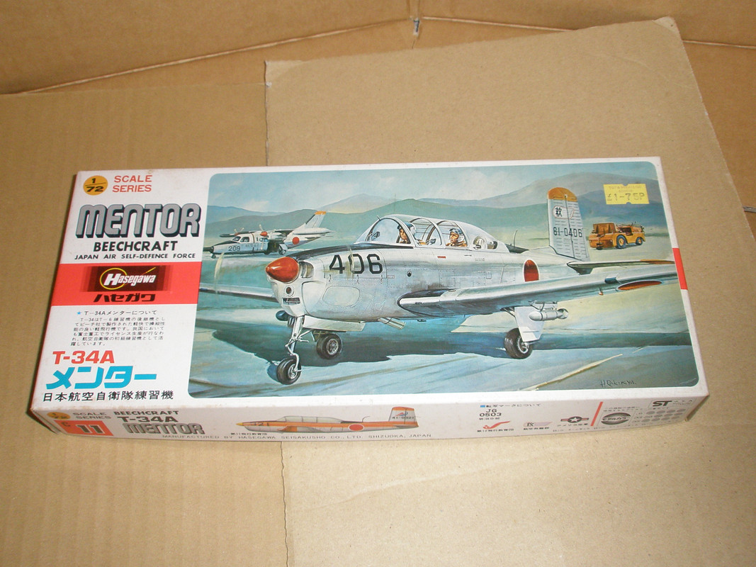 Hasegawa Mentor