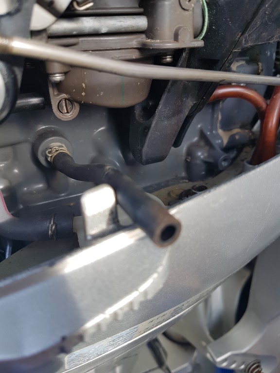 20201113_164444 (Medium)