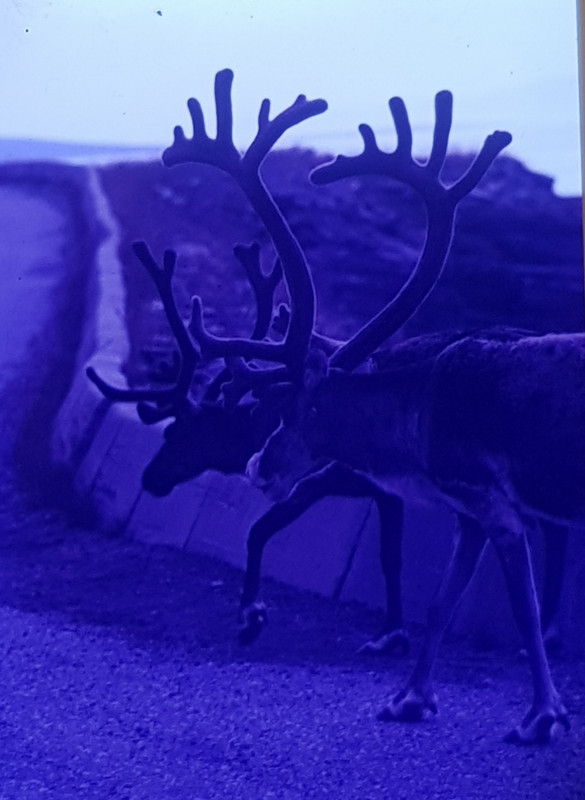 20250812_184514_resized