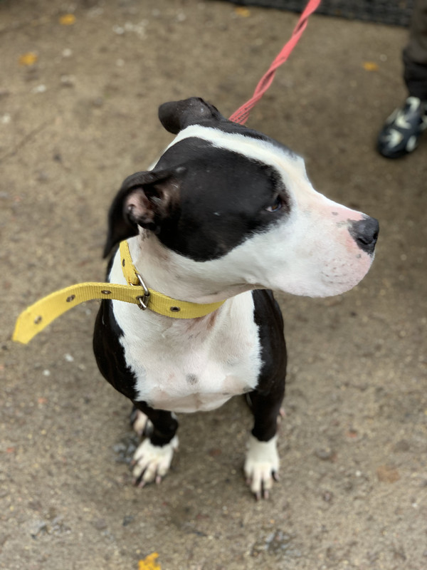 C3EAB1E6-9220-4DA9-9EB2-2CB36C7F9264