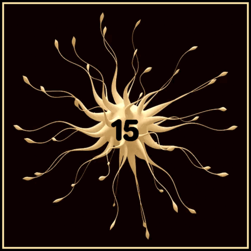 535CAF0D-F6F0-47BC-9B43-BEDBFF1DC468