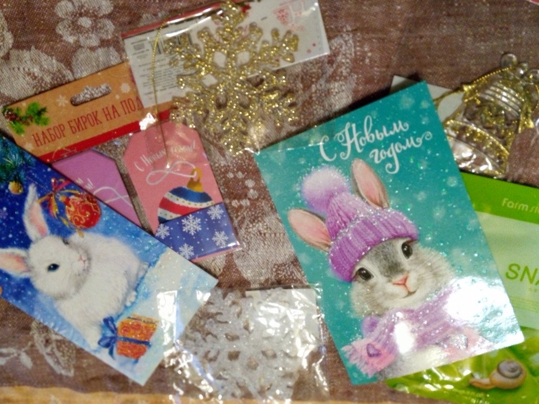 IMG_20221226_153822 (1)