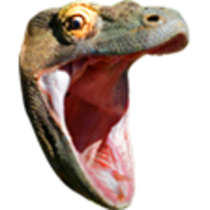 Pog-Champ-komodo.png