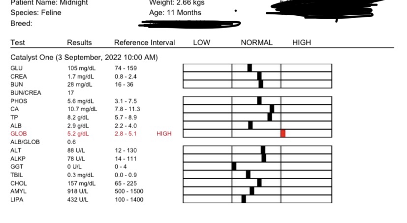 E9354484-8888-4B3E-9AC3-9D89B54D45CB