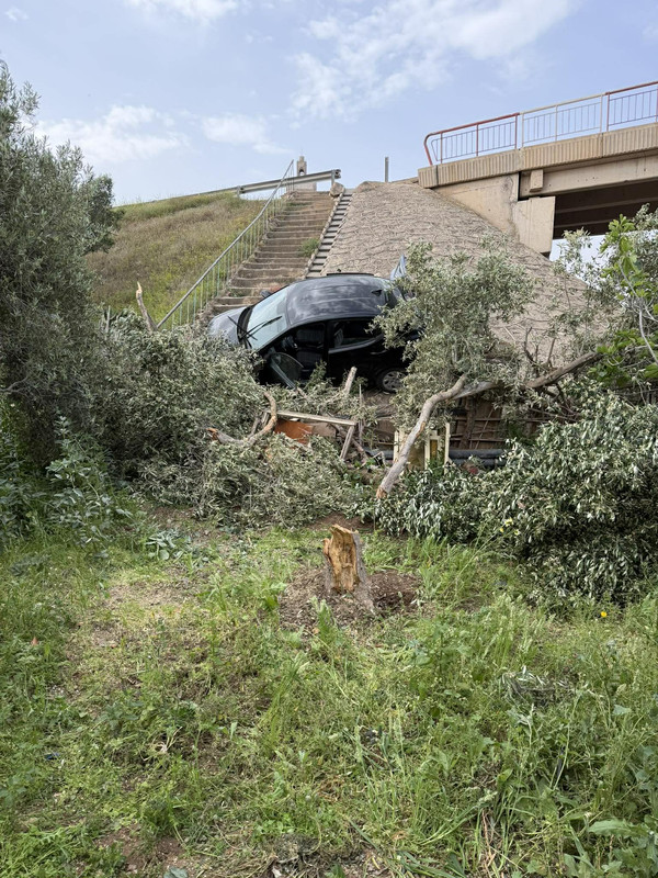 665543246-2318008452028707-872810726712488743-n