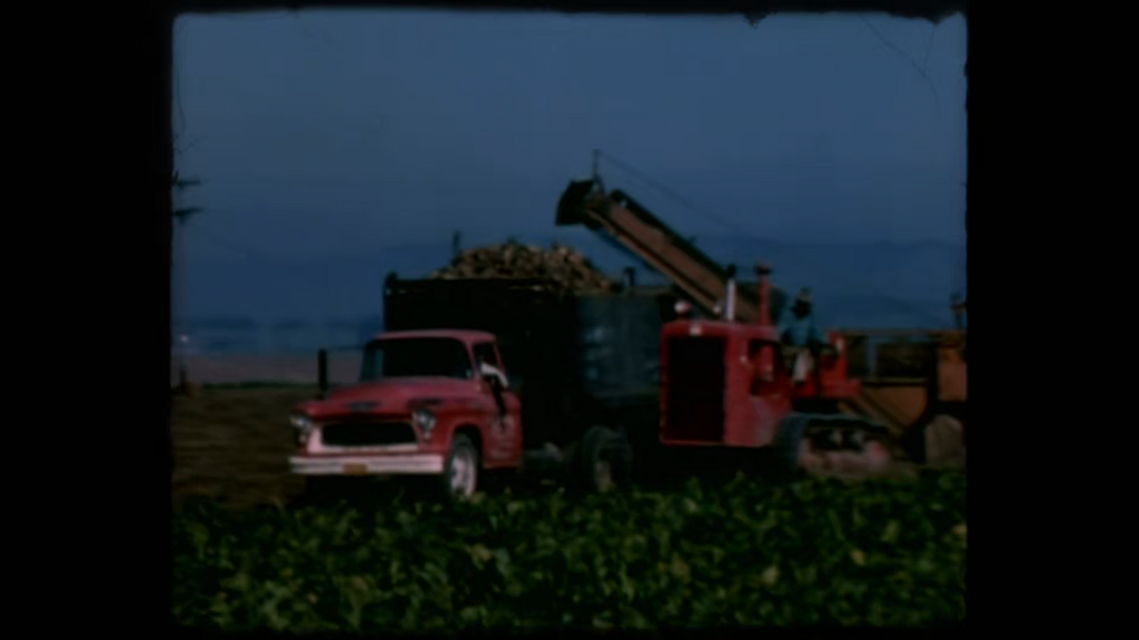 [Image: r7tttn4ry0x2.png]