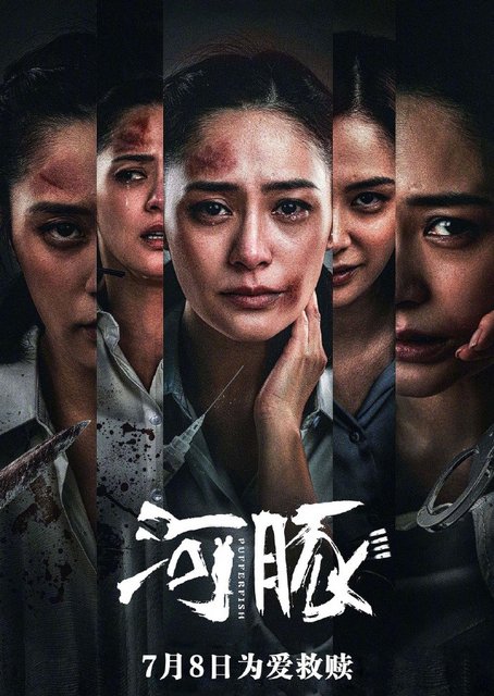 Pufferfish (2021) Chinese 720p HDRip x264 AAC 400MB ESub