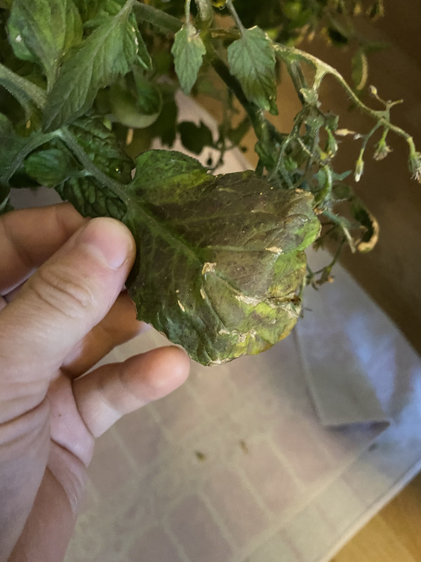 753FFBD5-EF67-4A9D-834B-B526BD0C16F8