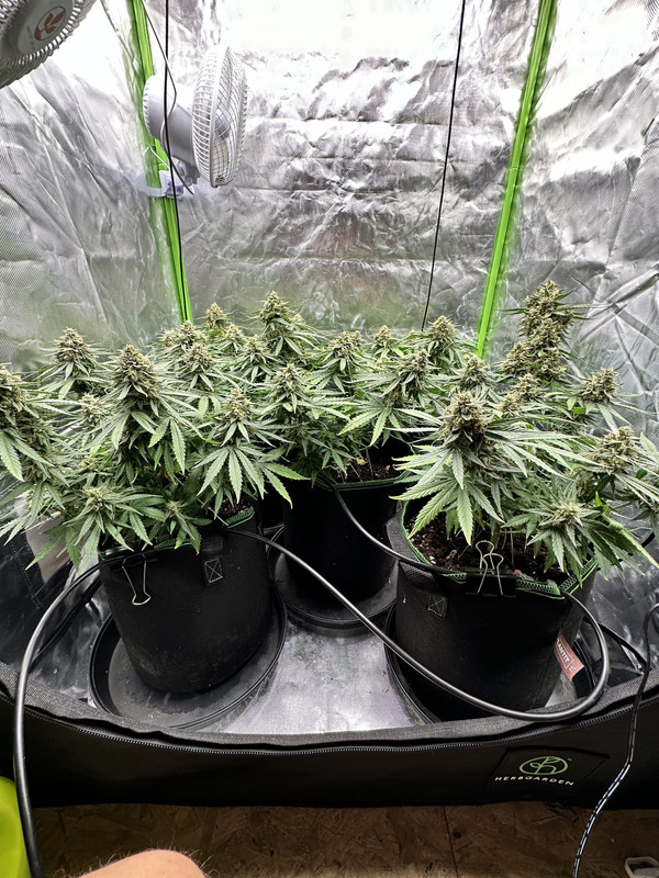 CB2FBD99-CC2C-489A-BB2A-2AA158A988B9