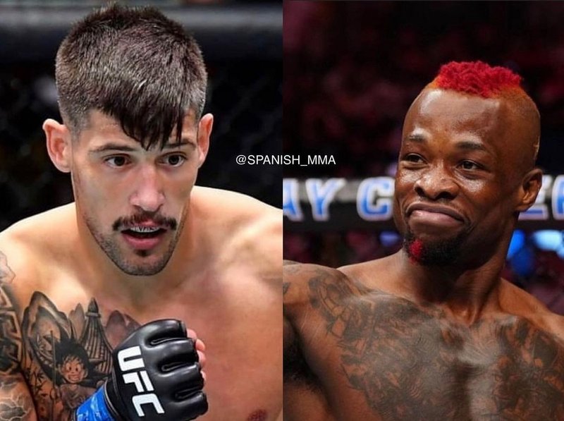 Джоел Алварес срещу Марк Диакези на UFC on ESPN+ 85