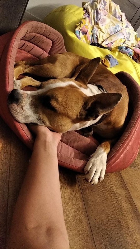 E2182EC4-ACC0-4F86-90F2-72B45533C1F1