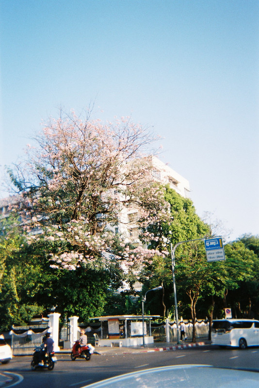 Fuji-Quick-30-resized