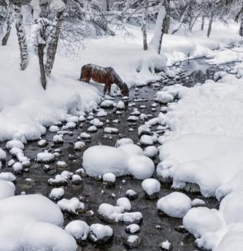 Screenshot_20231125_210623_Pinterest