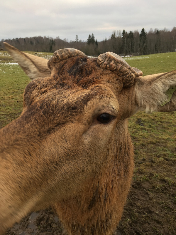 C8A23ECD-1B89-4D31-AB36-FE33CC6E1C06