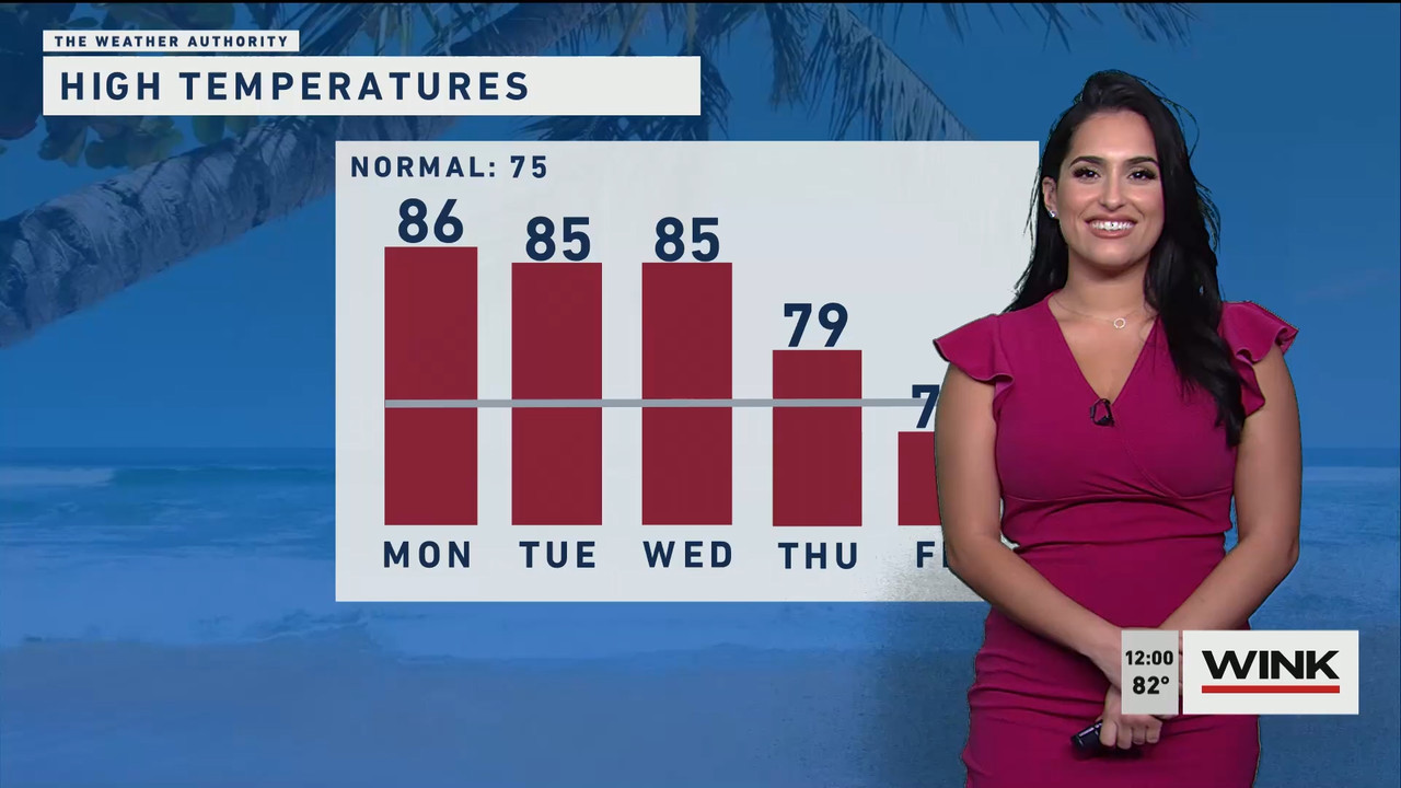 01.02 - 17.00.00 - The WINK Noon News  ᴺᵉʷ. Midday news update..ts_snapshot_07.05.991