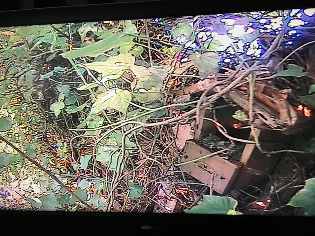 B1A07278-D69F-43CA-A8C0-E136CAAAA22C