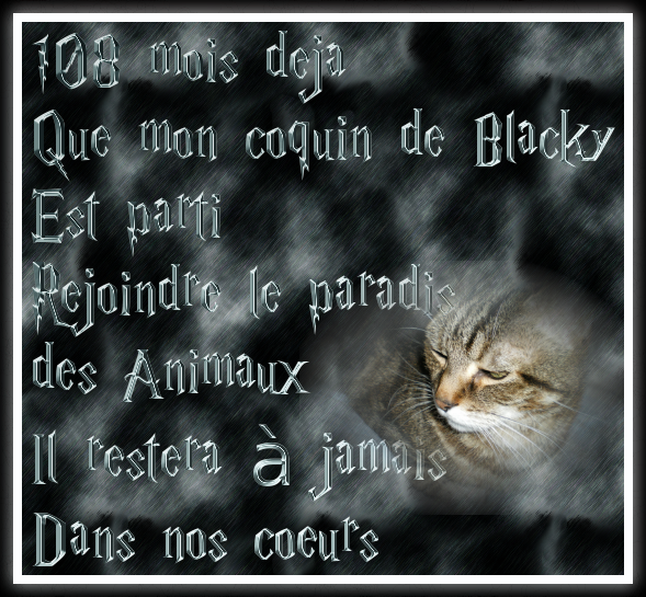 108-MOIS-BLACKY