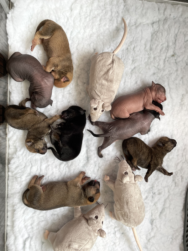 A7F0B429-1D7A-484E-ADDE-CF1E81CC2ACA