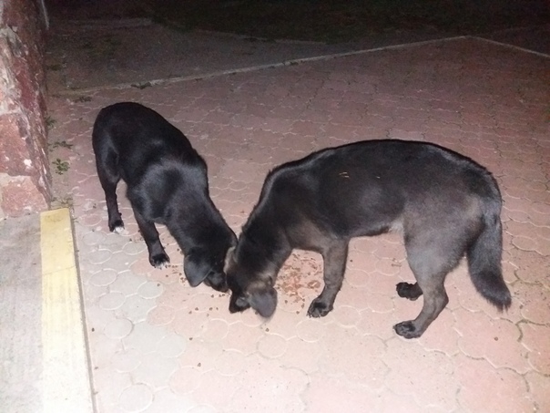 58B8721E-4E78-4636-BE7F-522BE65DB5FF