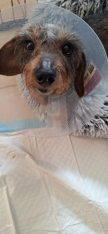 [Image: 20250223-140103.jpg]