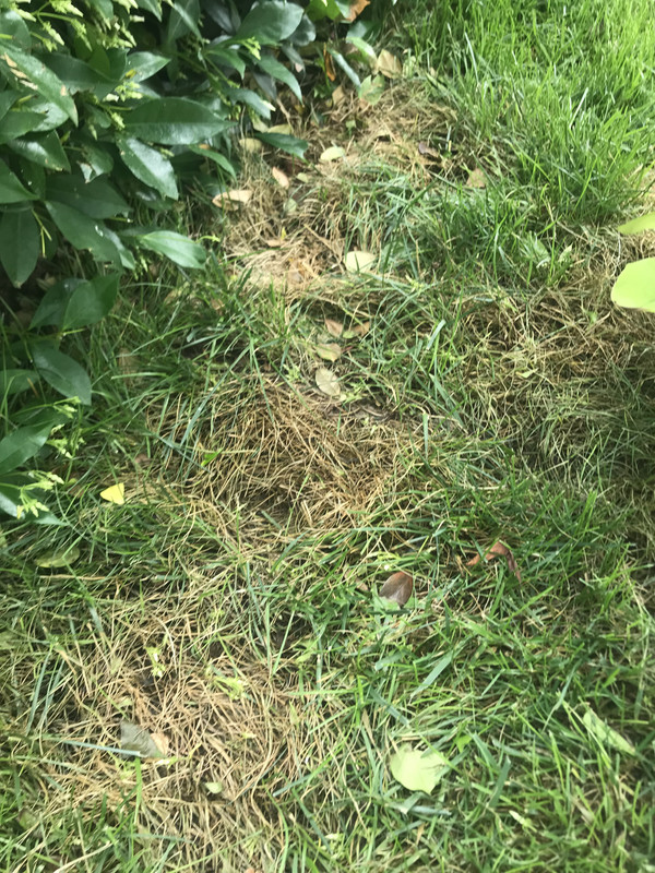 D34AEEE2-5384-4192-A214-4939366D8E10