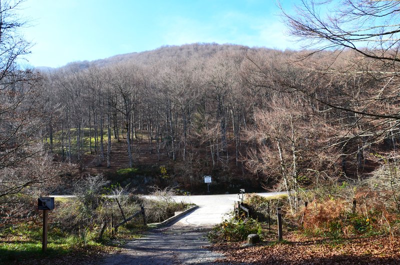 SELVA DE IRATI-14-11-2015-NAVARRA - Paseando por España-1991/2024 (83)