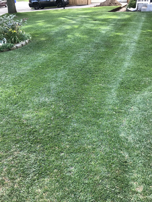 BB319191-73A4-4EB4-9621-7D4CE2561586