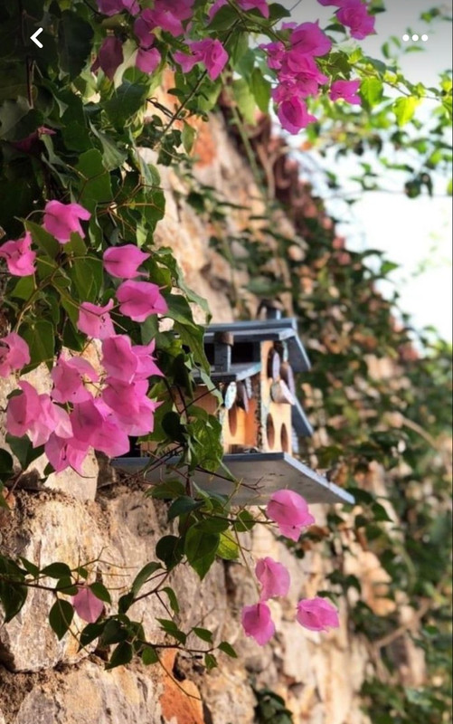 Screenshot_20240331_155544_Pinterest